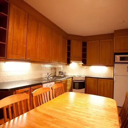 President Center 2 Appartement *